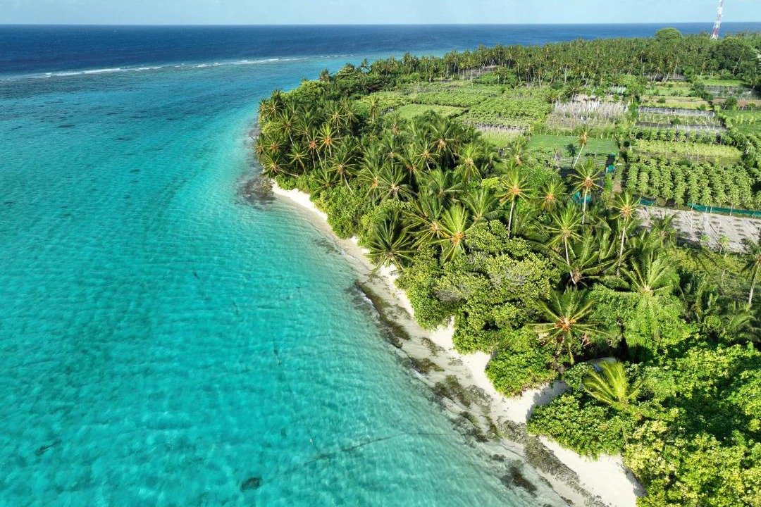 Photo of Others in Thoddoo