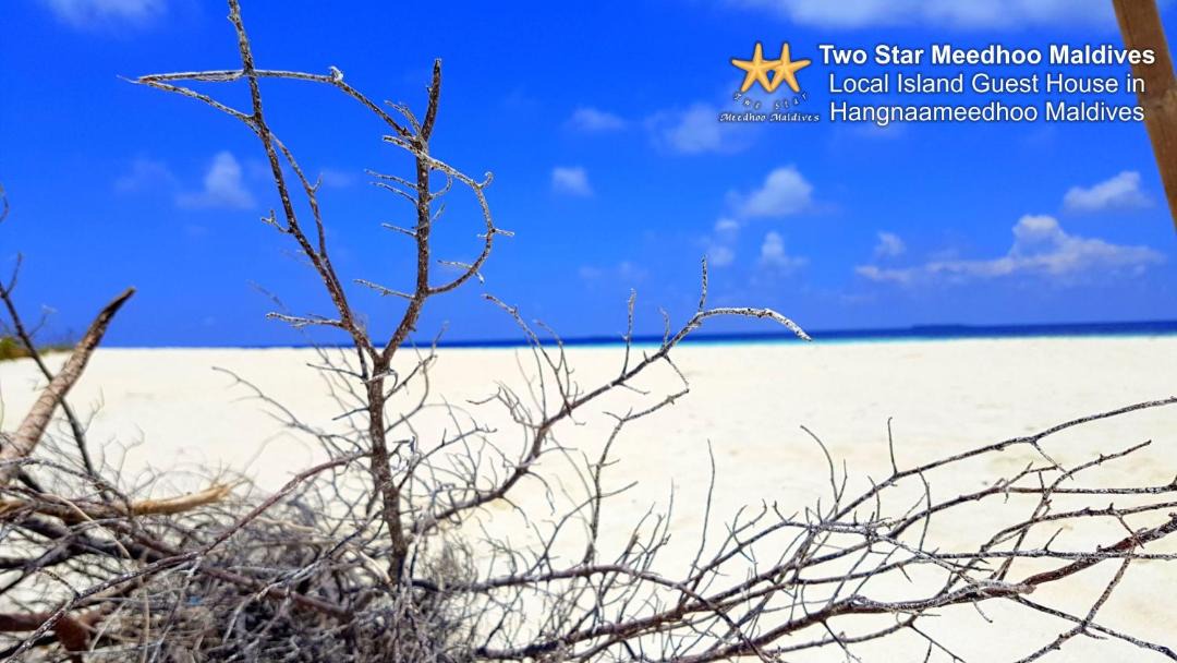 Photo of Others in Hangnaameedhoo