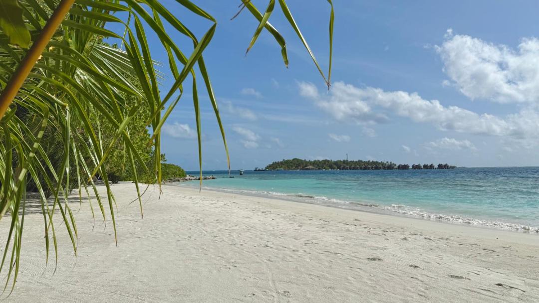 Photo of Others in Bodufolhudhoo