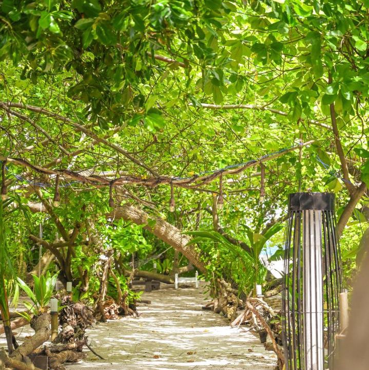 Photo of Others in Ukulhas