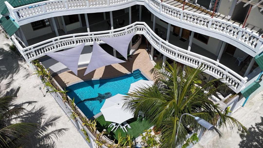 Photo of Patio Balcony in Maamigili