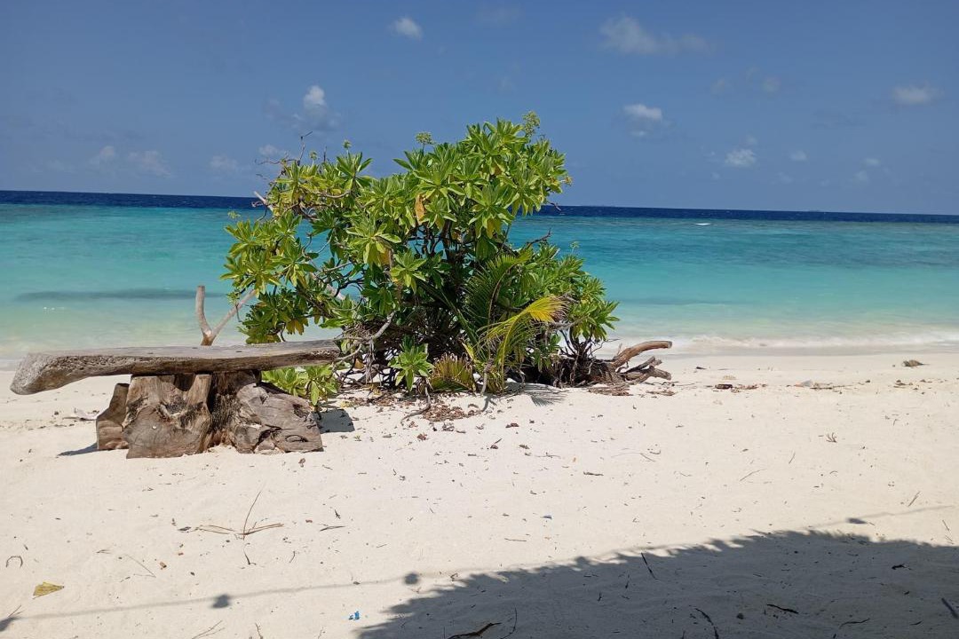 Photo of Others in Vaavu Atoll