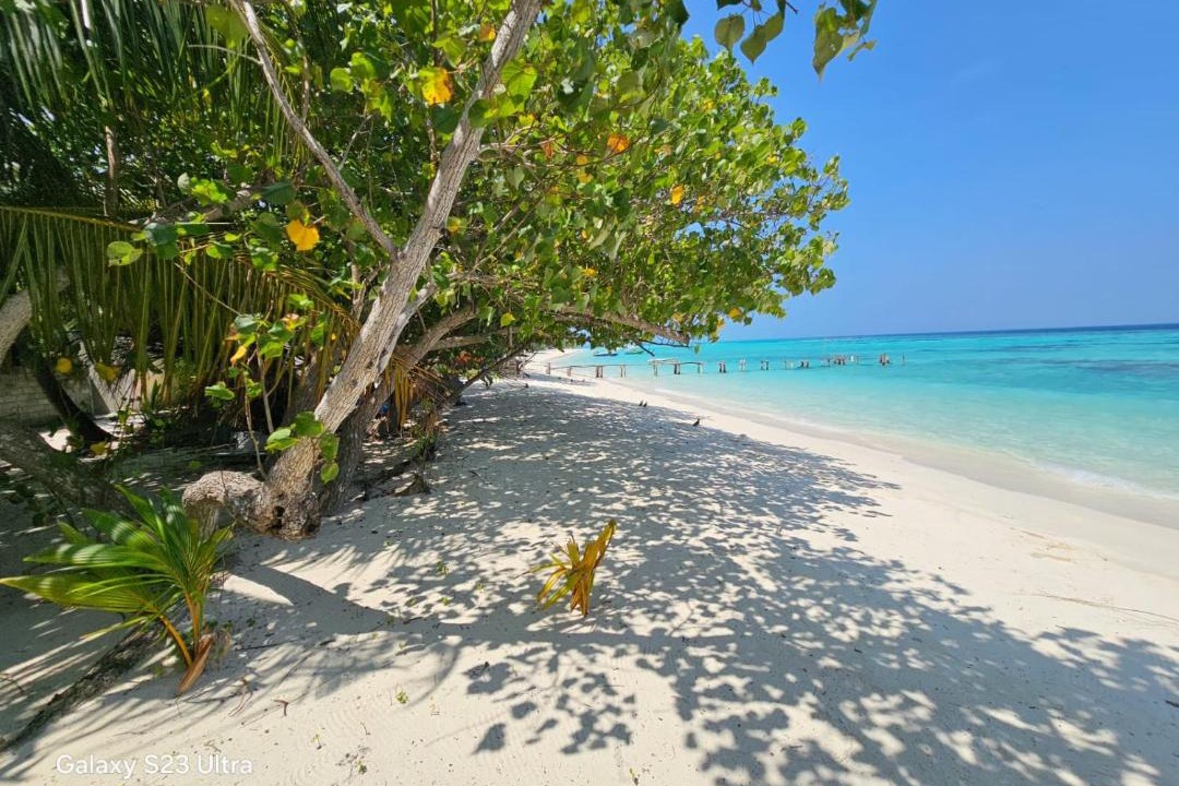 Photo of Others in Himandhoo