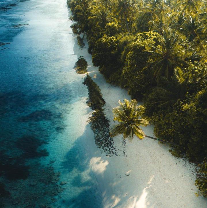 Photo of Others in Dhigurah