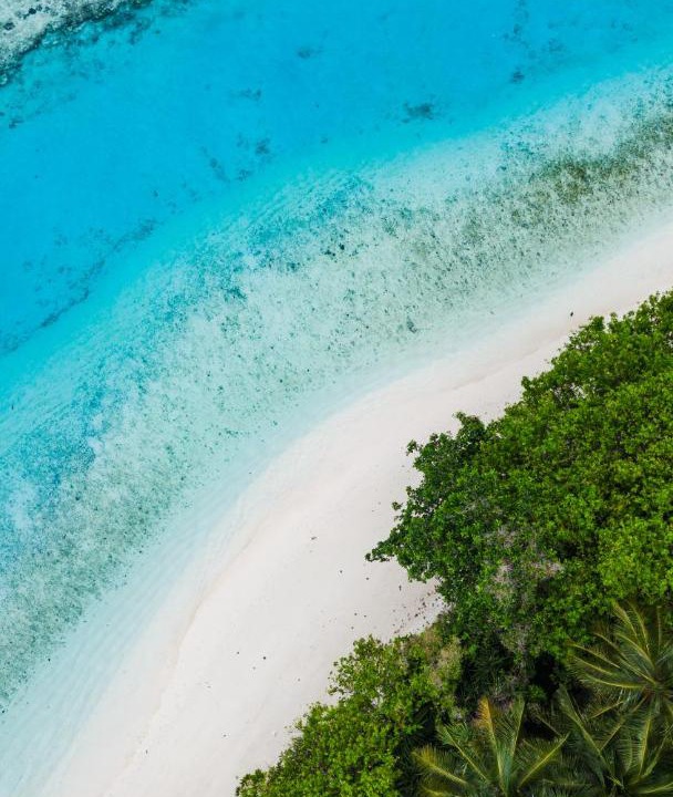Photo of Others in Baa Atoll