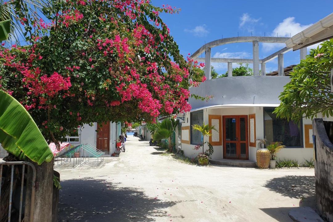 Photo of Others in Huraa