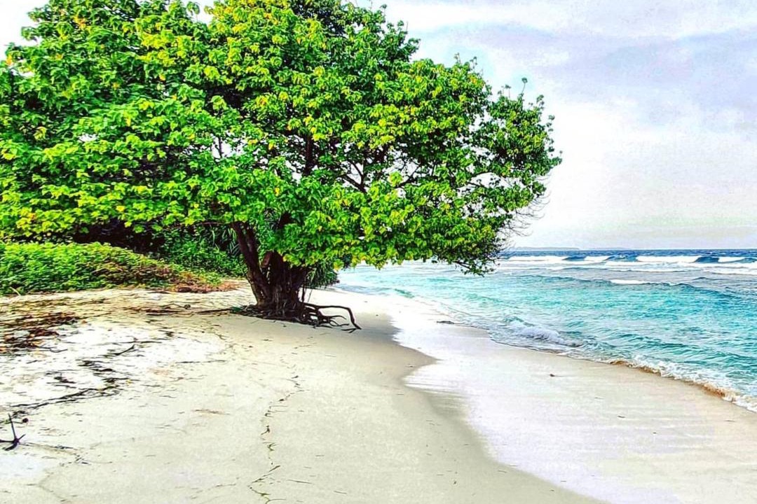 Photo of Others in Noonu Atoll