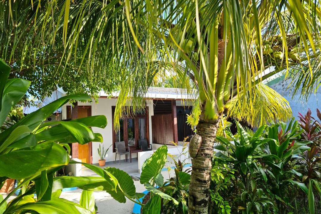 Photo of Others in Bodufolhudhoo