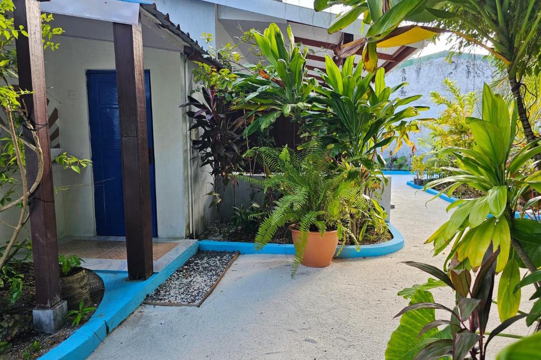 Photo of Others in Bodufolhudhoo