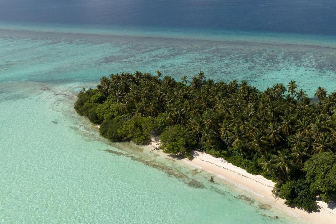 Photo of Others in Fehendhoo