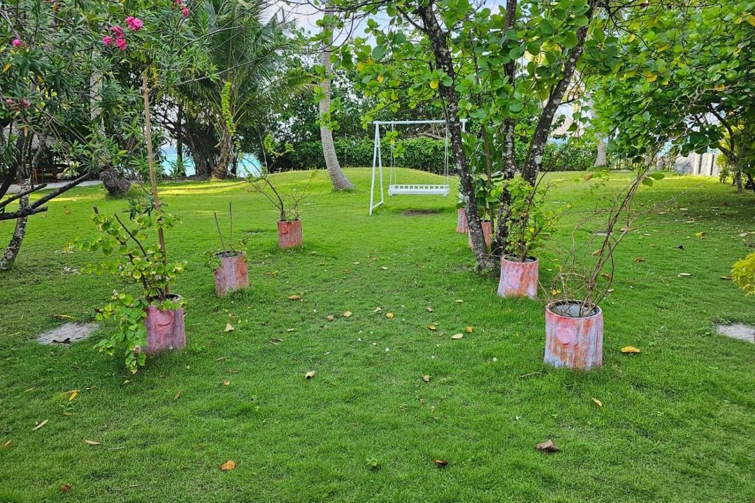 Photo of Outdoor in Filitheyo