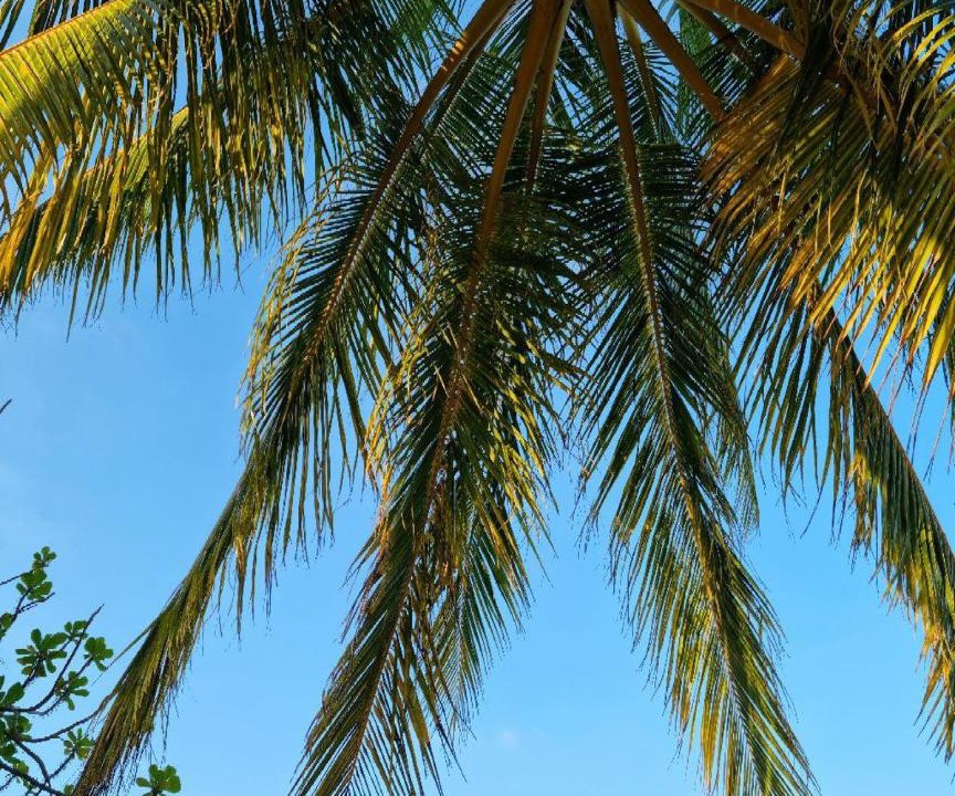 Photo of Others in Rasdhoo
