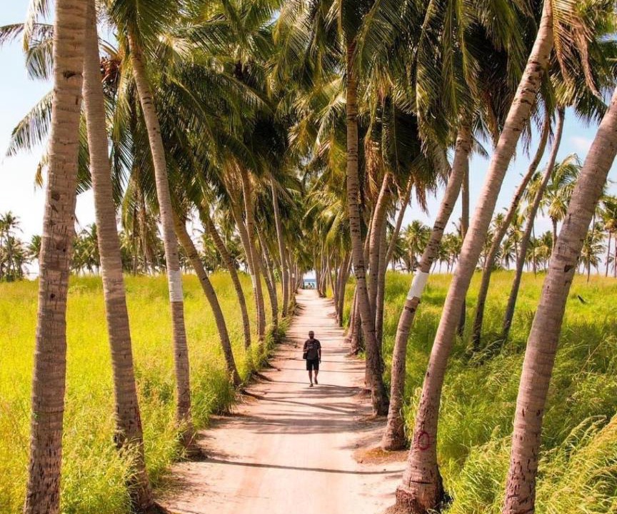 Photo of Others in Thoddoo