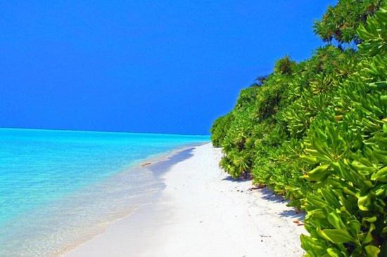 Photo of Others in Thoddoo