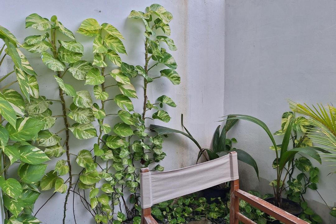 Photo of Patio Balcony in Maalhos