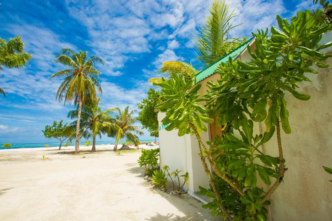 Photo of Others in Maafushi