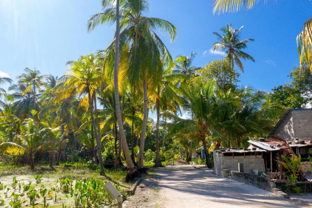 Photo of Others in Fuvahmulah
