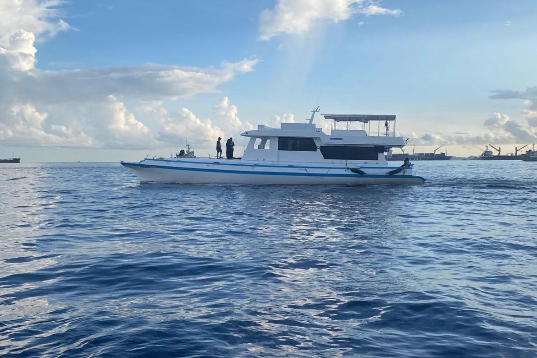 Photo of Others in Farukolhufushi Island