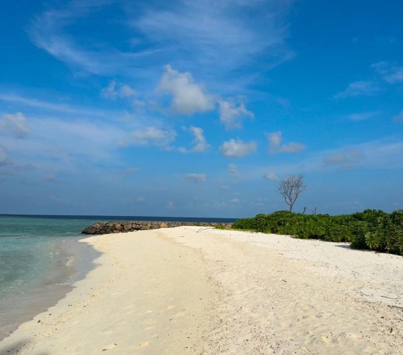 Photo of Others in Rakeedhoo