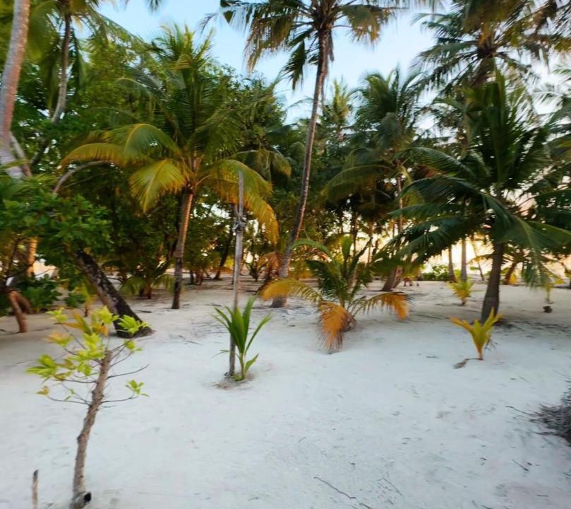 Photo of Others in Rakeedhoo