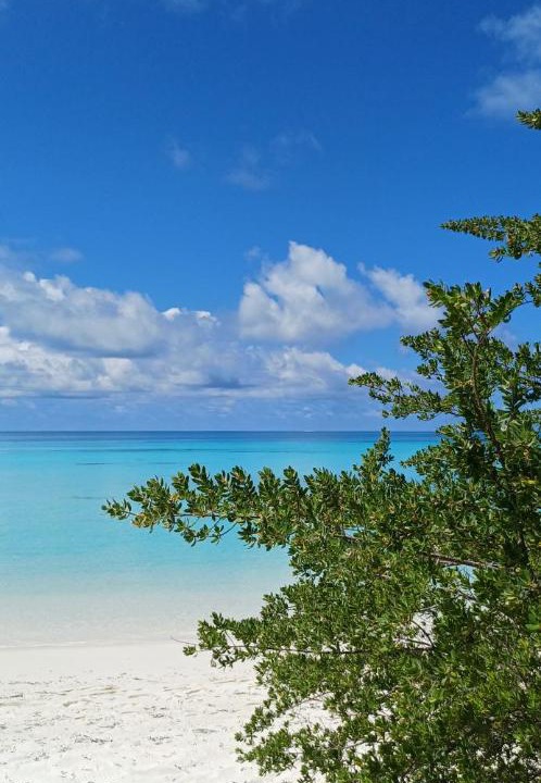 Photo of Others in Dhigurah