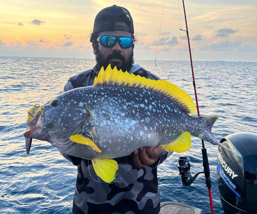 Photo of Others in Hulhumale