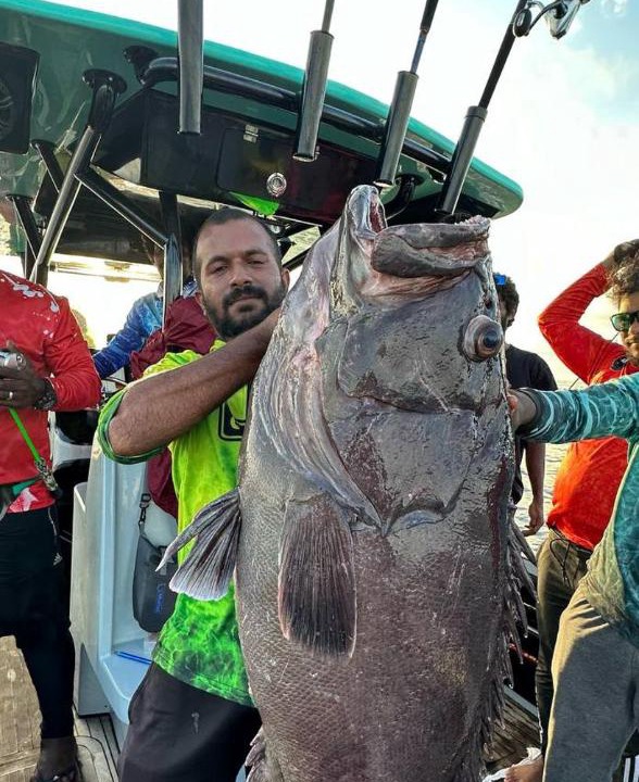 Photo of Others in Hulhumale