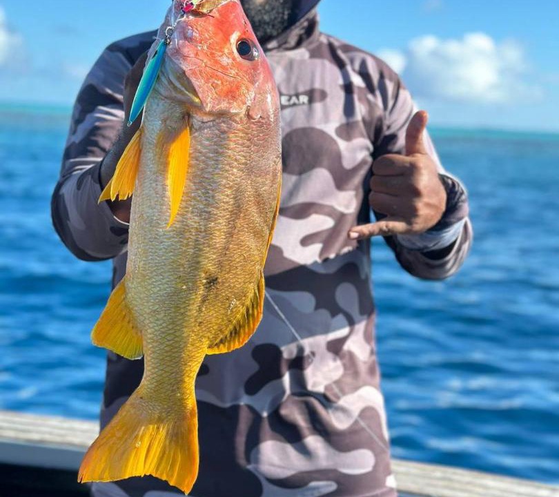 Photo of Others in Hulhumale