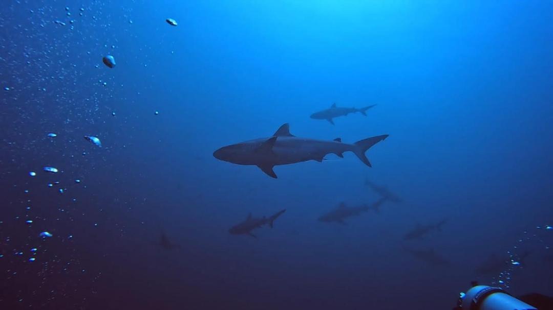 Photo of Others in Rasdhoo