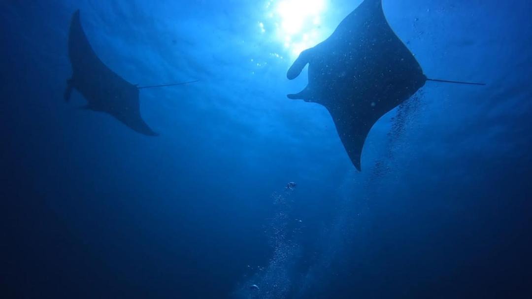 Photo of Others in Rasdhoo