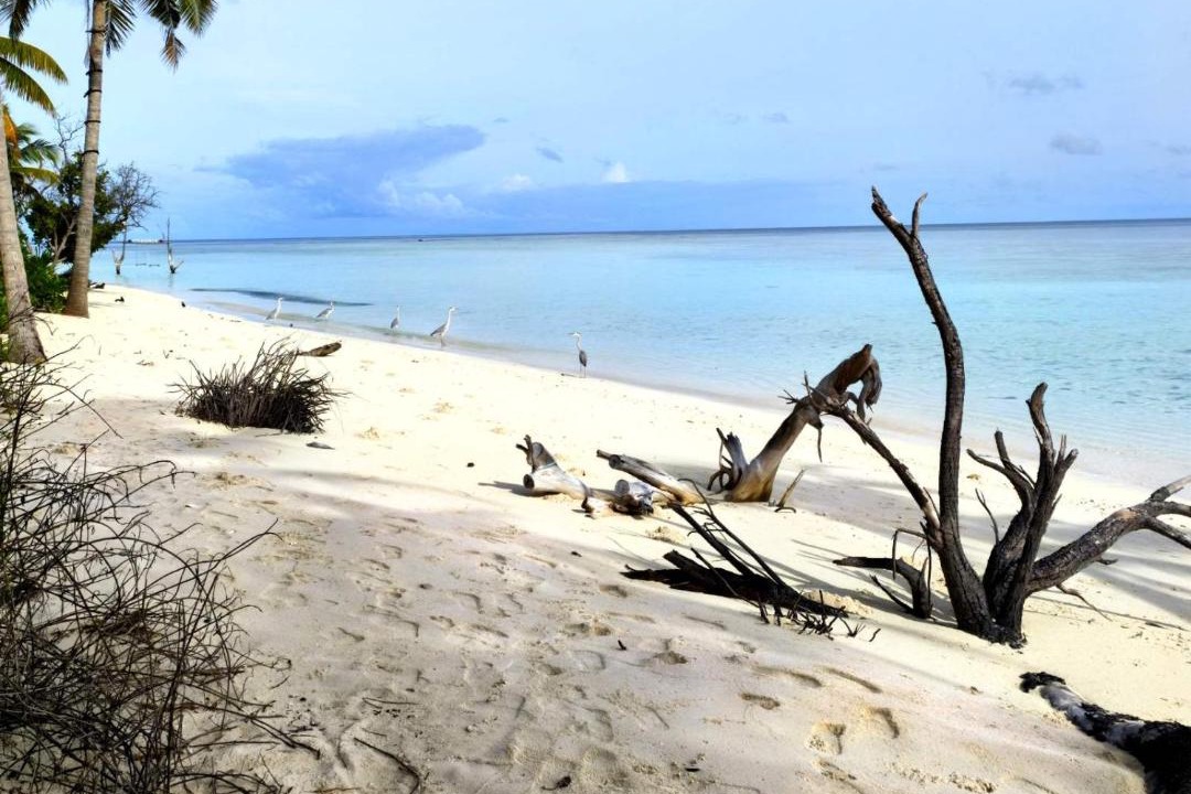 Photo of Others in Omadhoo
