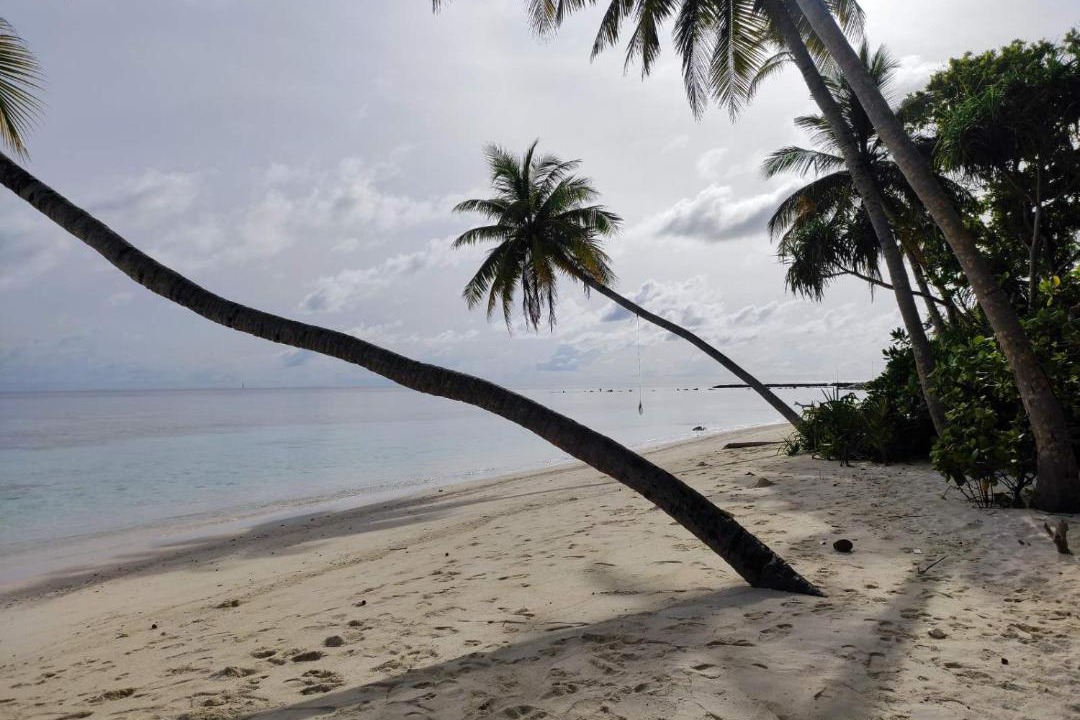 Photo of Others in Omadhoo