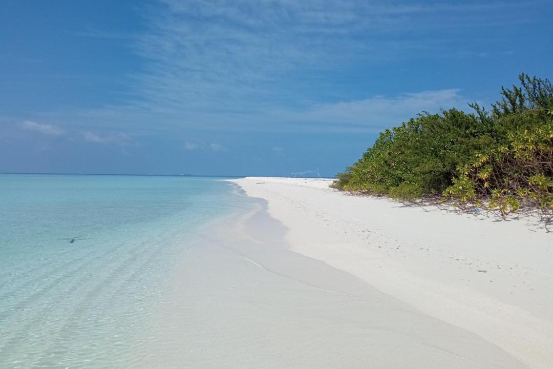 Photo of Others in Omadhoo