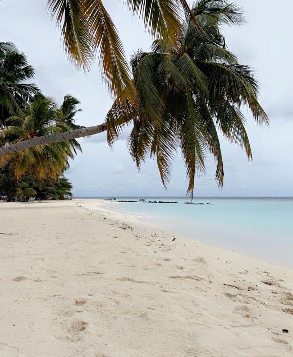 Photo of Others in Gemanafushi