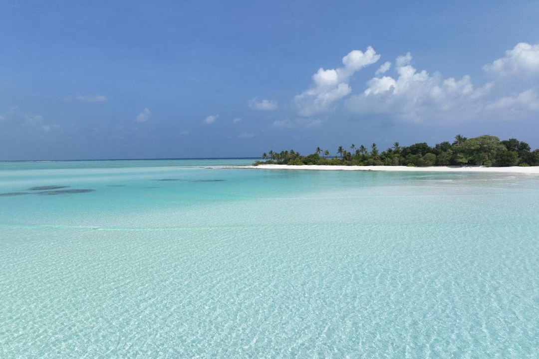 Photo of Others in Goidhoo