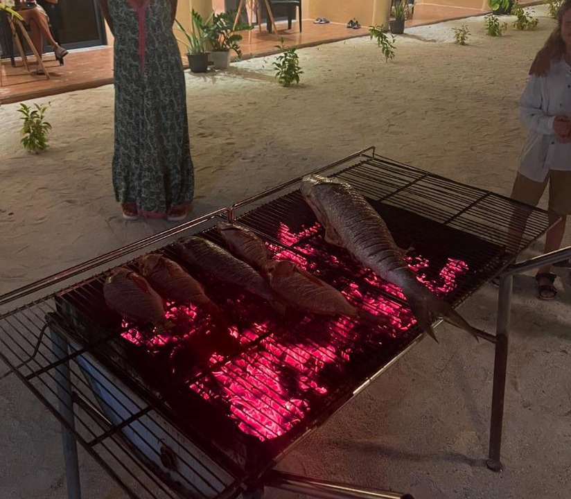 Photo of Others in Thoddoo