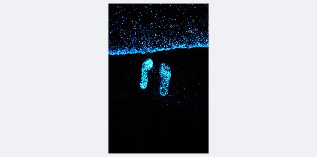 Photo of Human In Picture in Vaadhoo