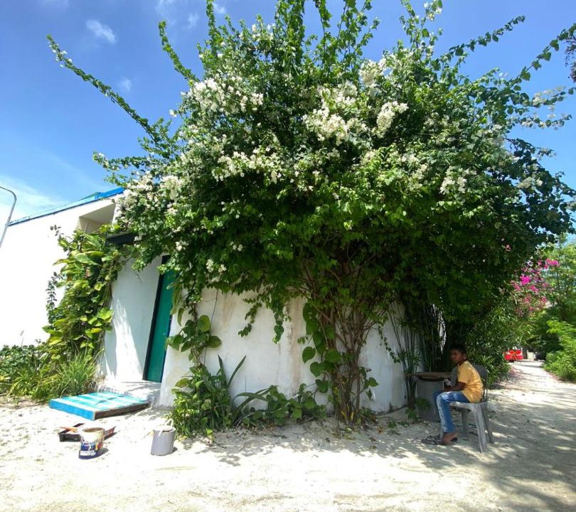 Photo of Others in Himmafushi
