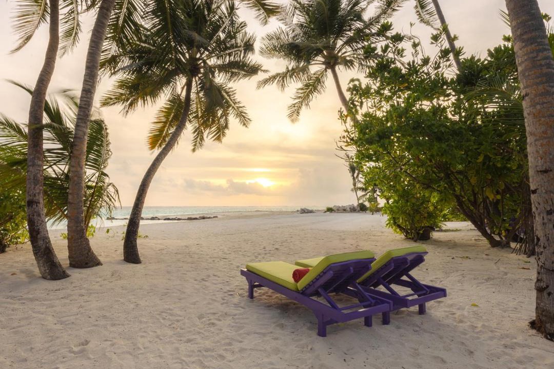 Photo of Others in Nalaguraidhoo