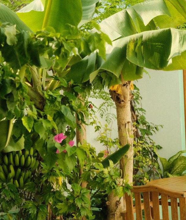 Photo of Others in Fulhadhoo
