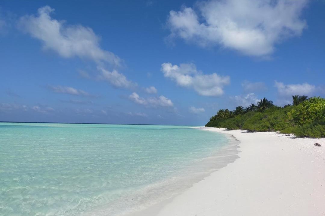 Photo of Others in Rakeedhoo