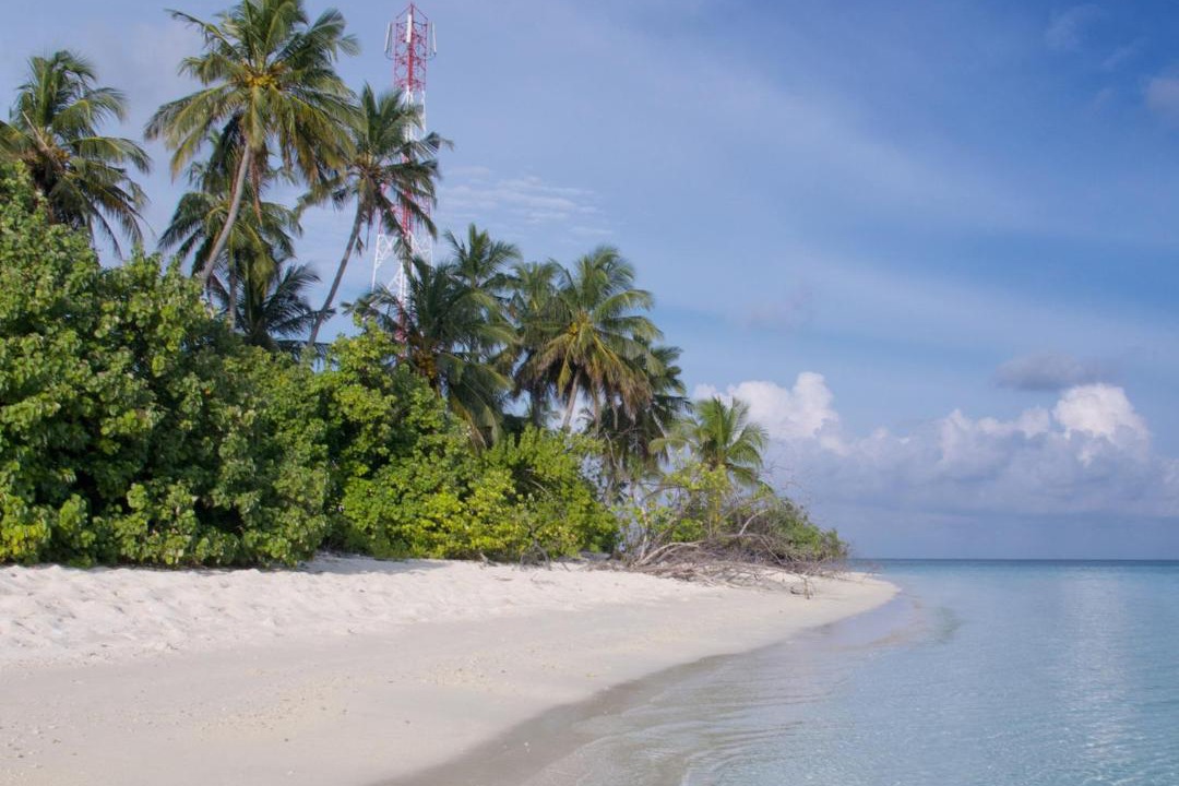 Photo of Others in Fulidhoo