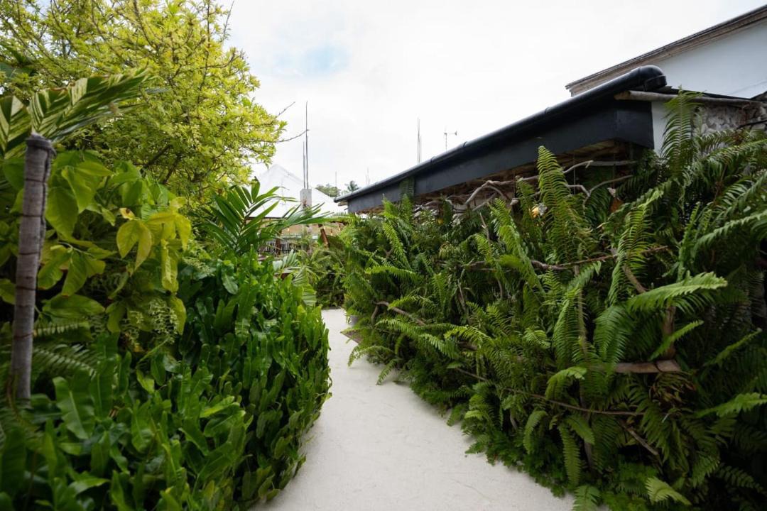 Photo of Others in Goidhoo