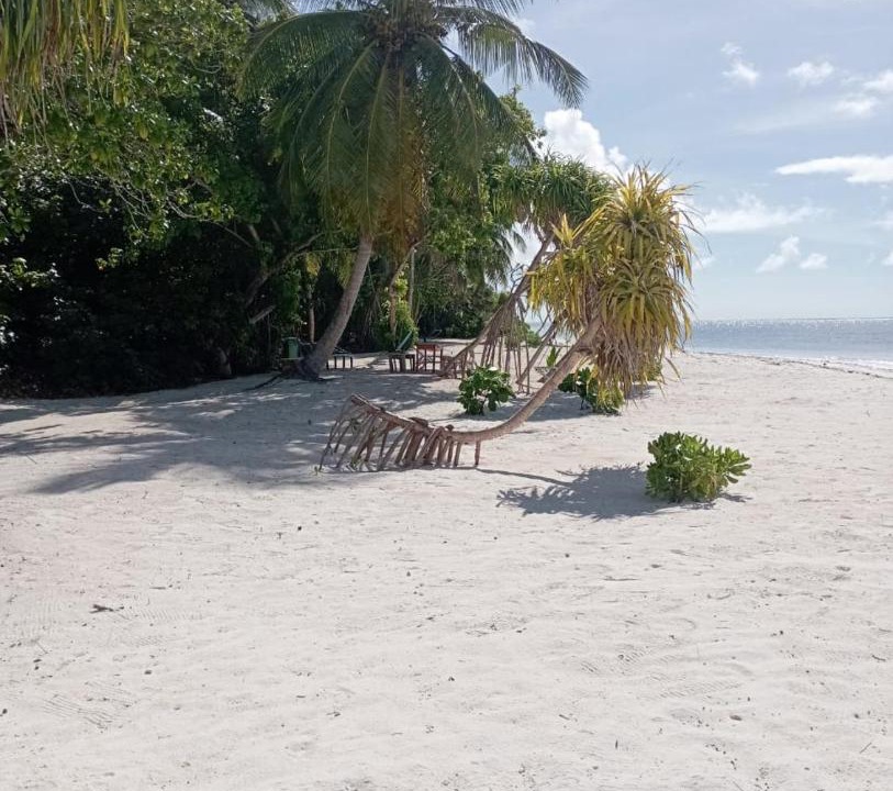 Photo of Others in Goidhoo