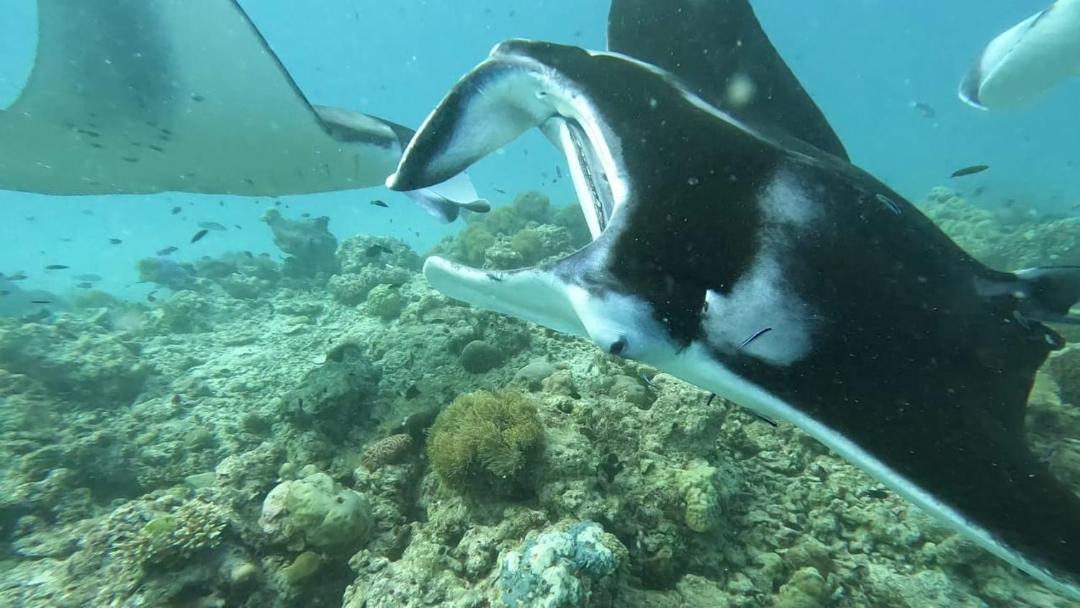 Photo of Others in Ukulhas