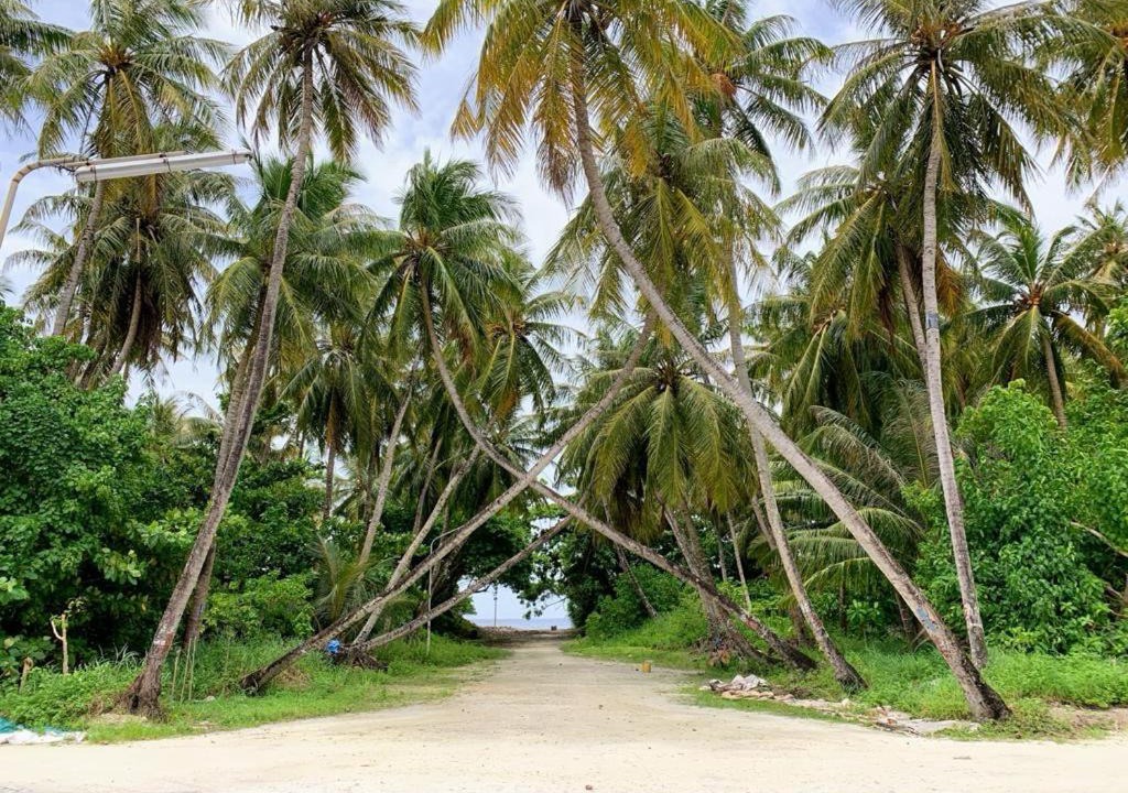 Photo of Others in Haa Dhaalu Atoll