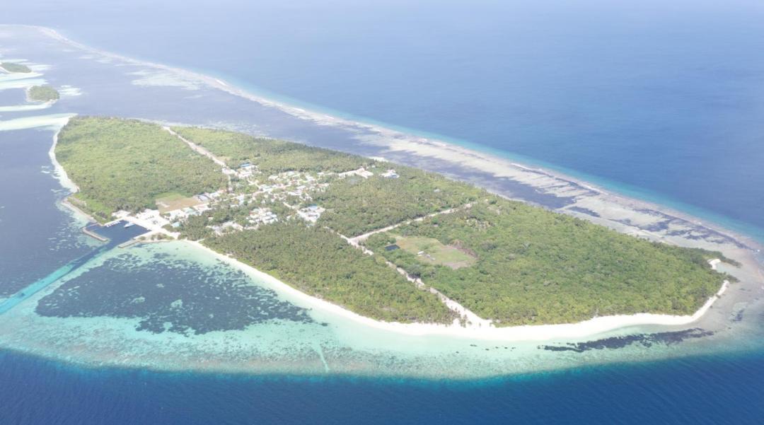 Photo of Others in Gaafu Alifu Atoll