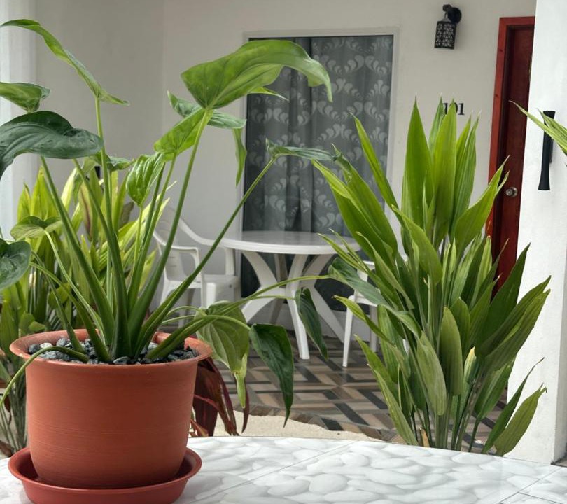 Photo of Patio Balcony in Thoddoo