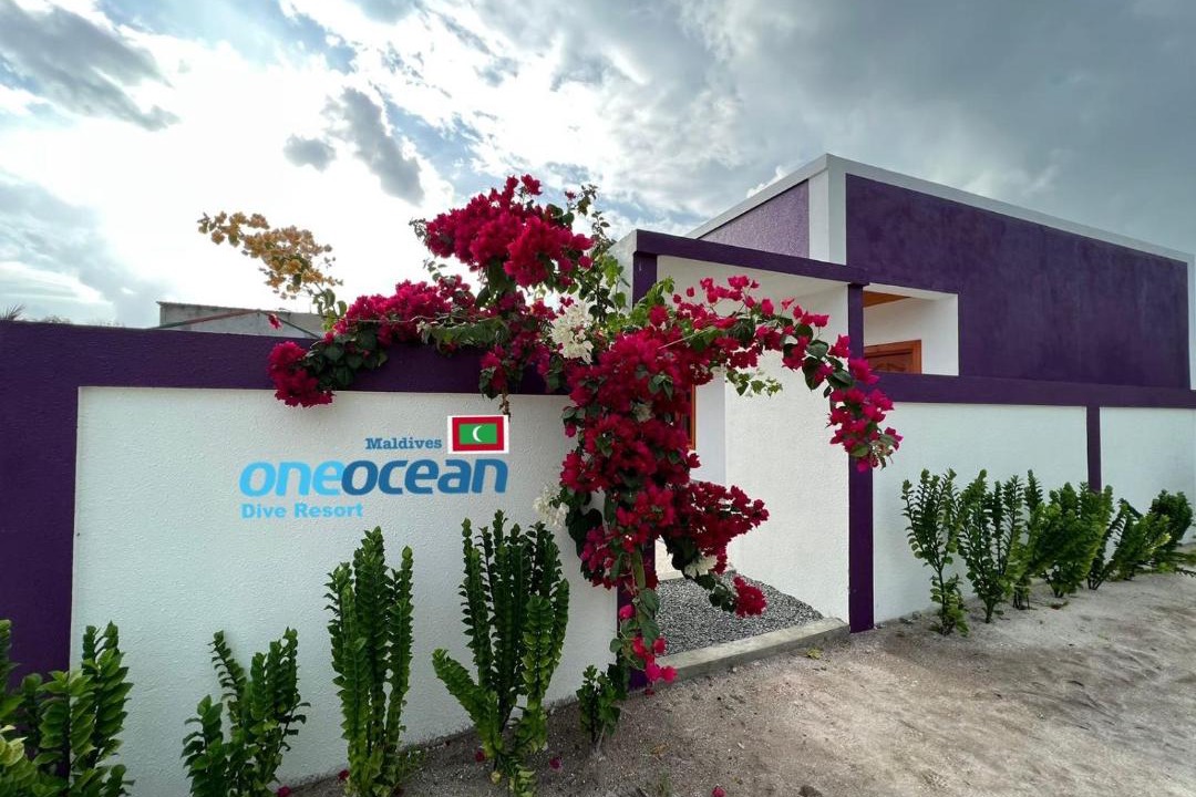Photo of Others in Gemanafushi