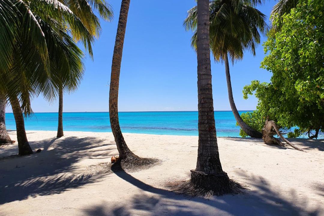 Photo of Others in Fulhadhoo